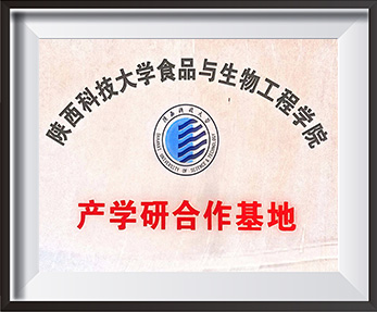 Company Honor