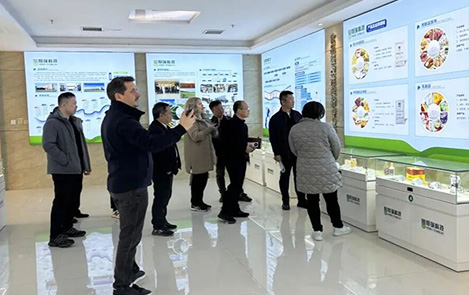 Russian Businessmen Visited Hengrui Technology for Inspection and Reached a Preliminary Cooperation Intention