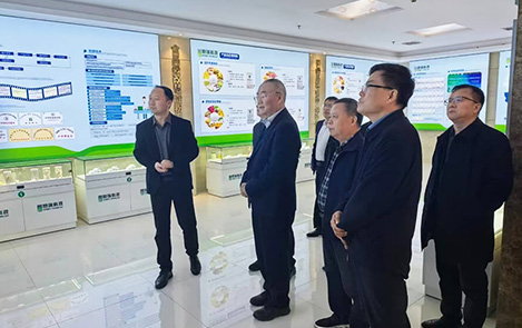 Liang Liuke Investigates Henan Hengrui Technology’s Modified Starch R & D