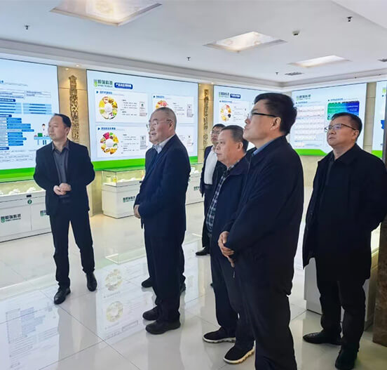 Liang Liuke Investigates Henan Hengrui Technology’s Modified Starch R & D