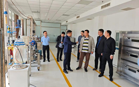 A Team from the Industrial Technology Research Institute of Zhengzhou University Visited Hengrui Technology for Industry-University-Research Docking